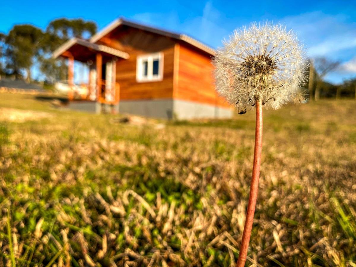 Pousada Flor Do Campestre Urubici Exterior photo